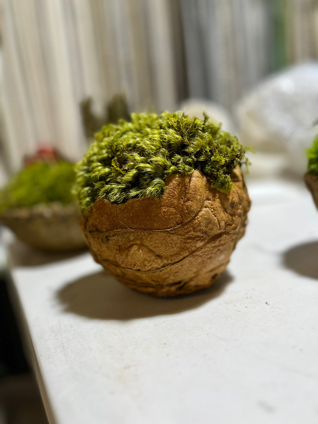 Small Moss Bowl/ ragged edge