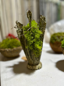 Small Moss Base w/sticks