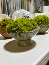Load image into Gallery viewer, Small Pedestal Moss Bowl