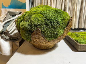 Large Moss Bowl
