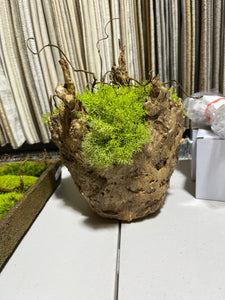 Rustic Moss Vase