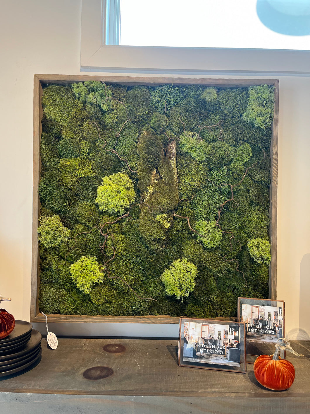 Moss Wall Art - Square w/ sticks