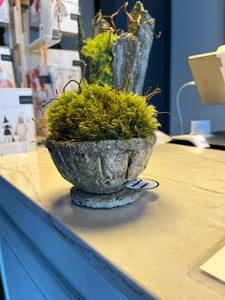 Moss Art - tiny bowl w/ sticks