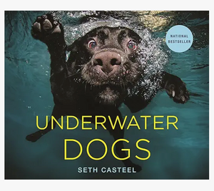 Underwater Dogs