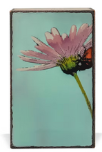 Load image into Gallery viewer, SpiritTiles - RETIRED