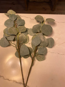 18.5 " Silver Dollar Eucalyptus Stem
